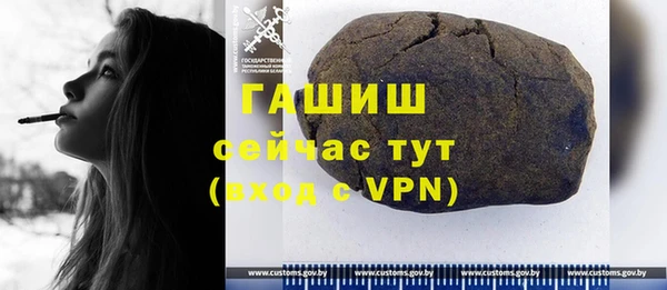 прущие грибы Алзамай