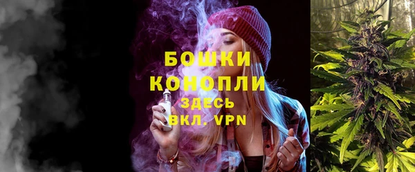 прущие грибы Алзамай