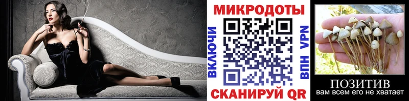 гидра ссылка  Динская  Галлюциногенные грибы мицелий  наркота 
